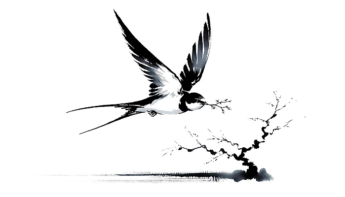 JPG 나무 일러스트 붓터치 수묵화 사람없음 나뭇가지 비행 먹 동양화 번짐 제비 국내일러스트 AI일러스트 AI콘텐츠 식물 조류 서예 미술 파일형식 효과