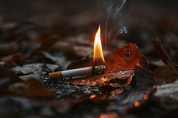 JPG 편집이미지 낙엽 불 산 사람없음 연기 숲 디지털합성 재해 담배꽁초 산불 방화 편집실사 AI포토 AI콘텐츠 자연요소 잎 담배 CG 화재 파일형식