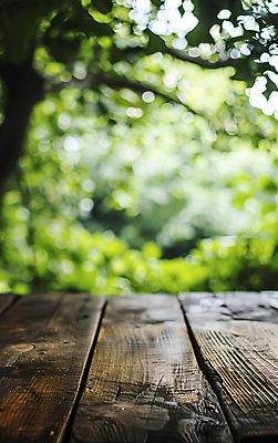 JPG 나무 편집이미지 선반 사람없음 초록색 풀잎 분위기 디지털합성 보케 편집소스 편집실사 AI포토 AI콘텐츠 식물 컬러 가구 컨셉 잎 풀_식물 CG 파일형식