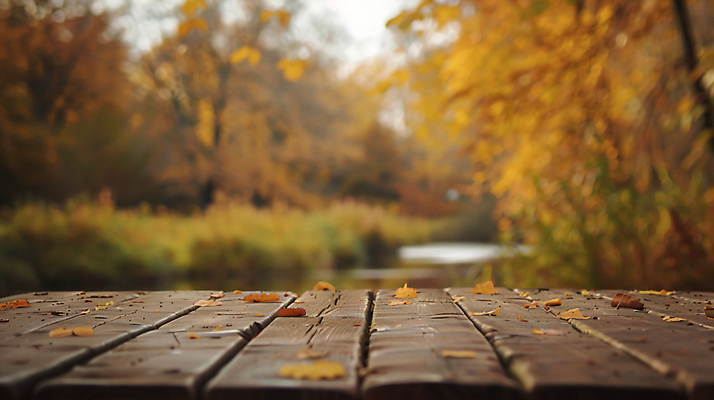 JPG 나무 편집이미지 낙엽 선반 사람없음 강 주황색 가을 분위기 디지털합성 편집소스 편집실사 AI포토 AI콘텐츠 식물 계절 컬러 가구 컨셉 잎 CG 파일형식