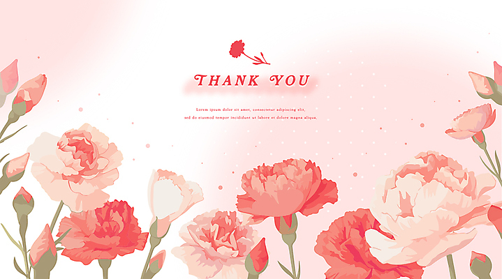 꽃잎 분홍색 잎 일러스트 기념 선물 타이포그라피 사람없음 축하 카네이션 꽃봉오리 감사 가정의달 카피스페이스 국내일러스트 AI파일 식물 문자 꽃 감정 컬러 컨셉 공백 5월 파일형식 벡터