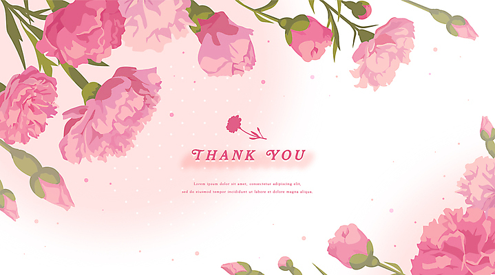 꽃잎 분홍색 잎 일러스트 기념 선물 타이포그라피 사람없음 축하 카네이션 꽃봉오리 감사 가정의달 카피스페이스 국내일러스트 AI파일 식물 문자 꽃 감정 컬러 컨셉 공백 5월 파일형식 벡터