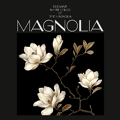 PSD 편집이미지 백그라운드 봄꽃 프레임 사람없음 검은색 봄 분위기 디지털합성 목련 편집소스 이미지편집 계절 꽃 컬러 컨셉 파일형식