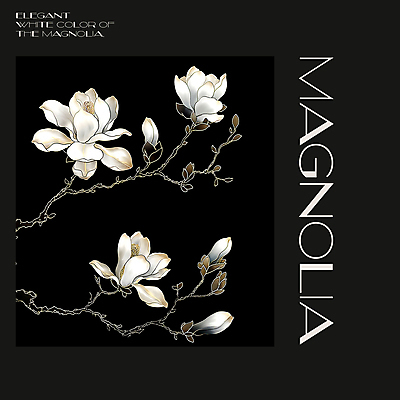 PSD 편집이미지 백그라운드 봄꽃 프레임 사람없음 검은색 봄 분위기 디지털합성 목련 편집소스 이미지편집 계절 꽃 컬러 컨셉 파일형식