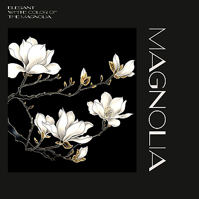 PSD 편집이미지 백그라운드 봄꽃 프레임 사람없음 검은색 봄 분위기 디지털합성 목련 편집소스 이미지편집 계절 꽃 컬러 컨셉 파일형식