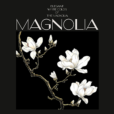 PSD 편집이미지 백그라운드 봄꽃 프레임 사람없음 검은색 봄 분위기 디지털합성 목련 편집소스 이미지편집 계절 꽃 컬러 컨셉 파일형식