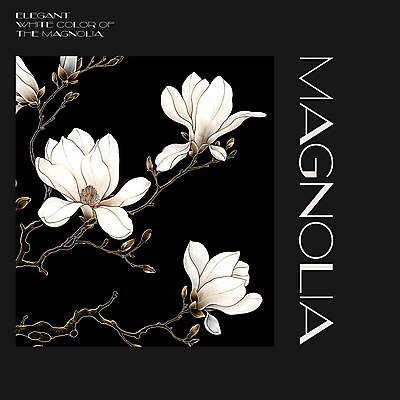 PSD 편집이미지 백그라운드 봄꽃 프레임 사람없음 검은색 봄 분위기 디지털합성 목련 편집소스 이미지편집 계절 꽃 컬러 컨셉 파일형식