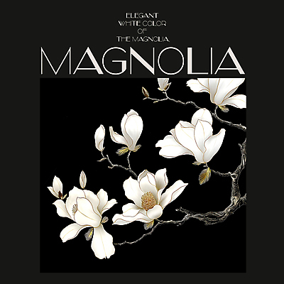 PSD 편집이미지 백그라운드 봄꽃 프레임 사람없음 검은색 봄 분위기 디지털합성 목련 편집소스 이미지편집 계절 꽃 컬러 컨셉 파일형식