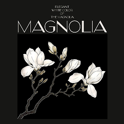 PSD 편집이미지 백그라운드 봄꽃 프레임 사람없음 검은색 봄 분위기 디지털합성 목련 편집소스 이미지편집 계절 꽃 컬러 컨셉 파일형식