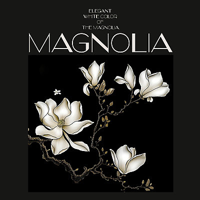 PSD 편집이미지 백그라운드 봄꽃 프레임 사람없음 검은색 봄 분위기 디지털합성 목련 편집소스 이미지편집 계절 꽃 컬러 컨셉 파일형식