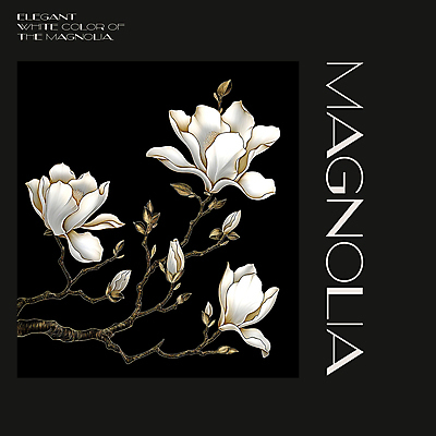 PSD 편집이미지 백그라운드 봄꽃 프레임 사람없음 검은색 봄 분위기 디지털합성 목련 편집소스 이미지편집 계절 꽃 컬러 컨셉 파일형식