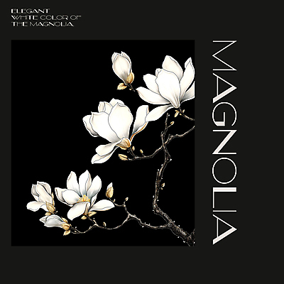 PSD 편집이미지 백그라운드 봄꽃 프레임 사람없음 검은색 봄 분위기 디지털합성 목련 편집소스 이미지편집 계절 꽃 컬러 컨셉 파일형식