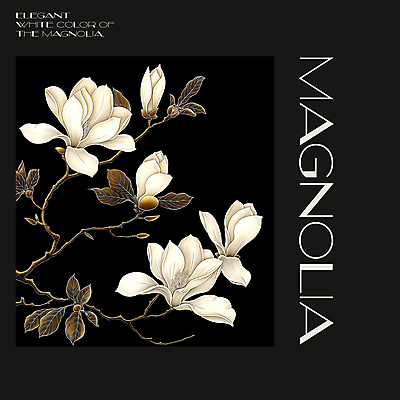 PSD 편집이미지 백그라운드 봄꽃 프레임 사람없음 검은색 봄 분위기 디지털합성 목련 편집소스 이미지편집 계절 꽃 컬러 컨셉 파일형식