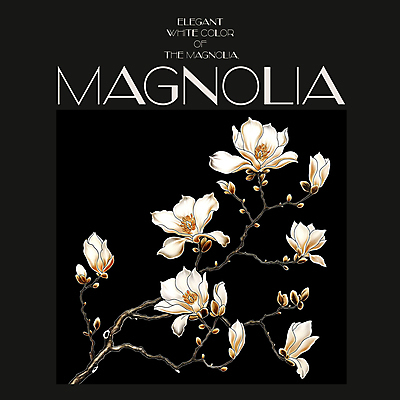 PSD 편집이미지 백그라운드 봄꽃 프레임 사람없음 검은색 봄 분위기 디지털합성 목련 편집소스 이미지편집 계절 꽃 컬러 컨셉 파일형식