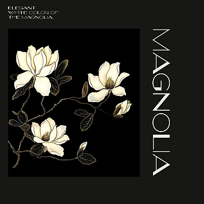 PSD 편집이미지 백그라운드 봄꽃 프레임 사람없음 검은색 봄 분위기 디지털합성 목련 편집소스 이미지편집 계절 꽃 컬러 컨셉 파일형식