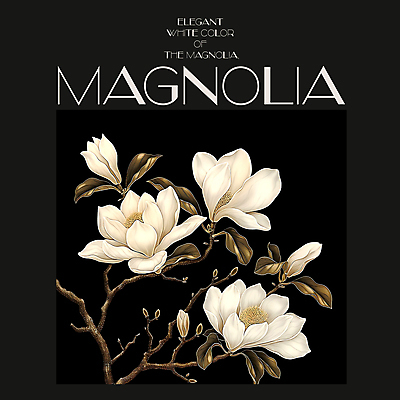 PSD 편집이미지 백그라운드 봄꽃 프레임 사람없음 검은색 봄 분위기 디지털합성 목련 편집소스 이미지편집 계절 꽃 컬러 컨셉 파일형식