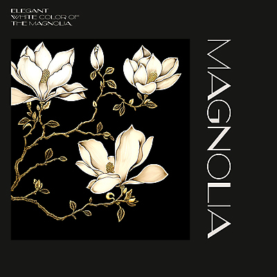 PSD 편집이미지 백그라운드 봄꽃 프레임 사람없음 검은색 봄 분위기 디지털합성 목련 편집소스 이미지편집 계절 꽃 컬러 컨셉 파일형식