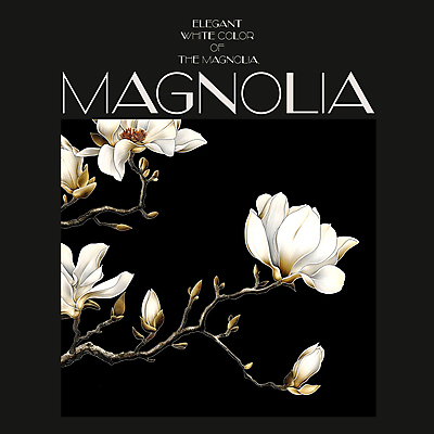 PSD 편집이미지 백그라운드 봄꽃 프레임 사람없음 검은색 봄 분위기 디지털합성 목련 편집소스 이미지편집 계절 꽃 컬러 컨셉 파일형식