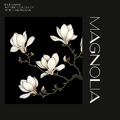 PSD 편집이미지 백그라운드 봄꽃 프레임 사람없음 검은색 봄 분위기 디지털합성 목련 편집소스 이미지편집 계절 꽃 컬러 컨셉 파일형식