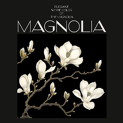 PSD 편집이미지 백그라운드 봄꽃 프레임 사람없음 검은색 봄 분위기 디지털합성 목련 편집소스 이미지편집 계절 꽃 컬러 컨셉 파일형식