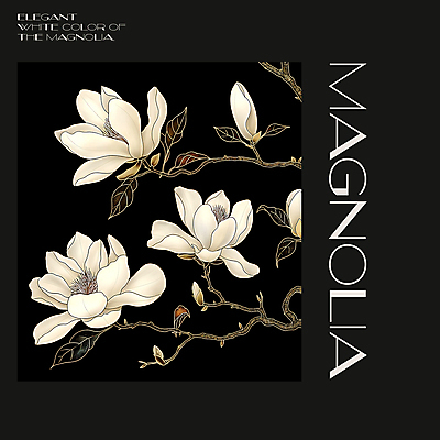 PSD 편집이미지 백그라운드 봄꽃 프레임 사람없음 검은색 봄 분위기 디지털합성 목련 편집소스 이미지편집 계절 꽃 컬러 컨셉 파일형식