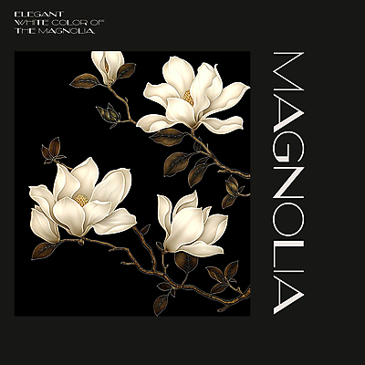 PSD 편집이미지 백그라운드 봄꽃 프레임 사람없음 검은색 봄 분위기 디지털합성 목련 편집소스 이미지편집 계절 꽃 컬러 컨셉 파일형식