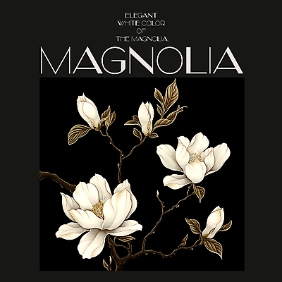 PSD 편집이미지 백그라운드 봄꽃 프레임 사람없음 검은색 봄 분위기 디지털합성 목련 편집소스 이미지편집 계절 꽃 컬러 컨셉 파일형식