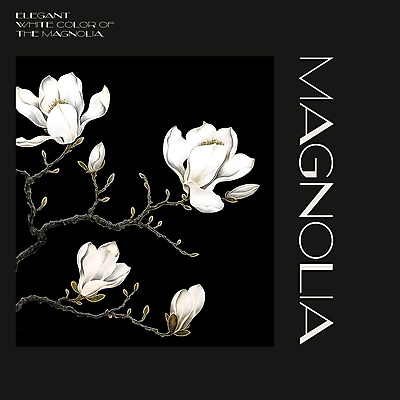 PSD 편집이미지 백그라운드 봄꽃 프레임 사람없음 검은색 봄 분위기 디지털합성 목련 편집소스 이미지편집 계절 꽃 컬러 컨셉 파일형식