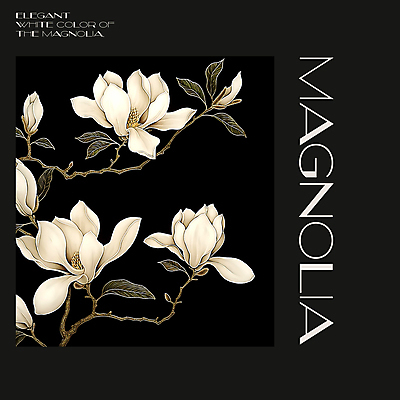 PSD 편집이미지 백그라운드 봄꽃 프레임 사람없음 검은색 봄 분위기 디지털합성 목련 편집소스 이미지편집 계절 꽃 컬러 컨셉 파일형식