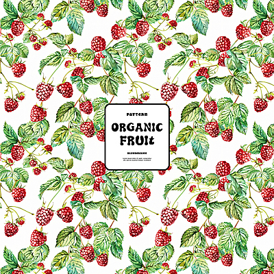PSD 백그라운드 잎 패턴 일러스트 자연 사람없음 빨간색 화려 유기농 산딸기 국내일러스트 식물 웰빙 컬러 컨셉 무늬 과일 생태계 파일형식