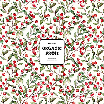 PSD 백그라운드 잎 패턴 일러스트 자연 사람없음 빨간색 화려 유기농 크랜베리 국내일러스트 식물 웰빙 열매 컬러 컨셉 무늬 생태계 파일형식