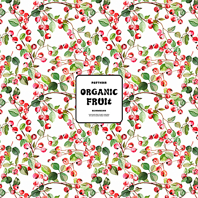 PSD 백그라운드 잎 패턴 일러스트 자연 사람없음 빨간색 화려 유기농 크랜베리 국내일러스트 식물 웰빙 열매 컬러 컨셉 무늬 생태계 파일형식
