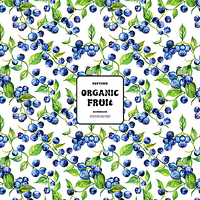 PSD 백그라운드 잎 패턴 일러스트 자연 사람없음 파란색 화려 유기농 블루베리 국내일러스트 식물 웰빙 컬러 컨셉 무늬 과일 생태계 파일형식