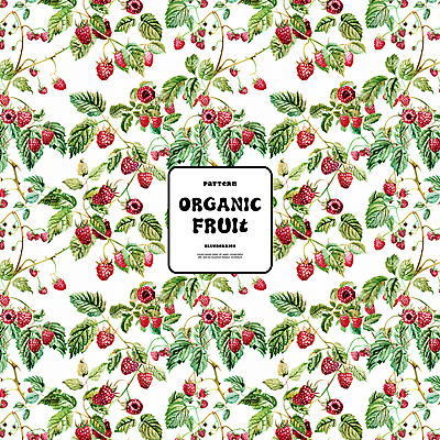 PSD 백그라운드 잎 패턴 일러스트 자연 사람없음 빨간색 화려 유기농 산딸기 국내일러스트 식물 웰빙 컬러 컨셉 무늬 과일 생태계 파일형식