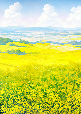 JPG 나무 구름 백그라운드 꽃밭 일러스트 하늘 풍경 사람없음 제주도 노란색 봄 유채 국내일러스트 AI일러스트 AI콘텐츠 자연요소 식물 계절 꽃 컬러 한국 파일형식