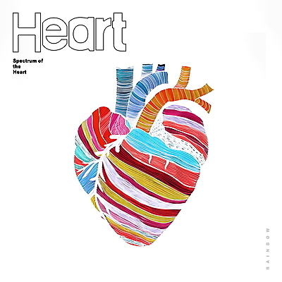 PSD 선 백그라운드 일러스트 추상 사람없음 그래픽 컬러풀 심장 디지털합성 드로잉 무지개색 편집소스 국내일러스트 컬러 무늬 미술 장기_의학 파일형식