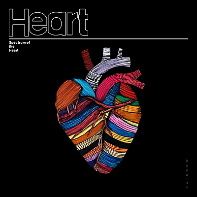 PSD 선 백그라운드 일러스트 추상 사람없음 그래픽 컬러풀 심장 디지털합성 드로잉 무지개색 편집소스 국내일러스트 컬러 무늬 미술 장기_의학 파일형식