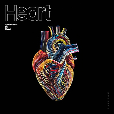 PSD 선 백그라운드 일러스트 추상 사람없음 그래픽 컬러풀 심장 디지털합성 드로잉 무지개색 편집소스 국내일러스트 컬러 무늬 미술 장기_의학 파일형식