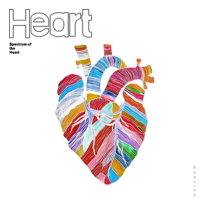 PSD 선 백그라운드 일러스트 추상 사람없음 그래픽 컬러풀 심장 디지털합성 드로잉 무지개색 편집소스 국내일러스트 컬러 무늬 미술 장기_의학 파일형식