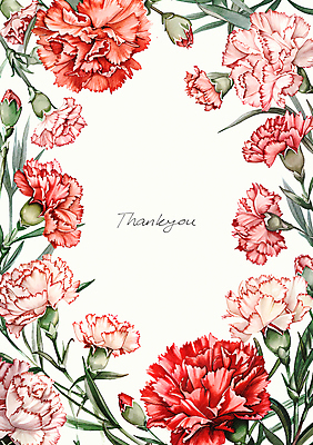 PSD 편집이미지 분홍색 잎 캘리그라피 수채화 프레임 사람없음 빨간색 테두리 카네이션 꽃봉오리 이미지편집 식물 꽃 컬러 파일형식