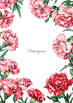 PSD 편집이미지 분홍색 잎 캘리그라피 수채화 프레임 사람없음 빨간색 테두리 카네이션 꽃봉오리 이미지편집 식물 꽃 컬러 파일형식