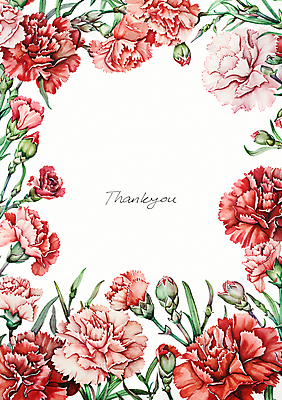 PSD 편집이미지 분홍색 잎 캘리그라피 수채화 프레임 사람없음 빨간색 테두리 카네이션 꽃봉오리 이미지편집 식물 꽃 컬러 파일형식