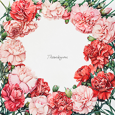 PSD 편집이미지 분홍색 잎 캘리그라피 수채화 프레임 사람없음 빨간색 테두리 카네이션 꽃봉오리 이미지편집 식물 꽃 컬러 파일형식