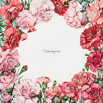 PSD 편집이미지 분홍색 잎 캘리그라피 수채화 프레임 사람없음 빨간색 테두리 카네이션 꽃봉오리 이미지편집 식물 꽃 컬러 파일형식