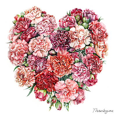 PSD 편집이미지 분홍색 잎 캘리그라피 수채화 사람없음 빨간색 하트 카네이션 꽃봉오리 이미지편집 모양 식물 꽃 컬러 파일형식