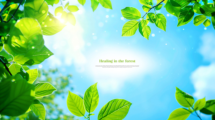 PSD 나무 구름 편집이미지 자연 하늘 나뭇잎 사람없음 초록색 햇빛 맑음 봄 힐링 카피스페이스 이미지편집 자연요소 식물 계절 컬러 잎 날씨 태양 공백 생태계 파일형식