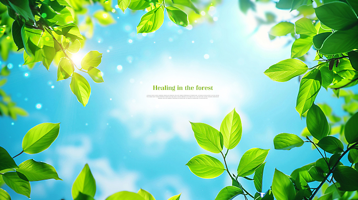 PSD 나무 구름 편집이미지 자연 하늘 나뭇잎 사람없음 초록색 햇빛 맑음 봄 힐링 카피스페이스 이미지편집 자연요소 식물 계절 컬러 잎 날씨 태양 공백 생태계 파일형식