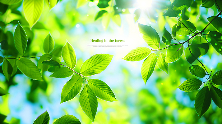 PSD 나무 구름 편집이미지 자연 하늘 나뭇잎 사람없음 초록색 햇빛 맑음 봄 힐링 카피스페이스 이미지편집 자연요소 식물 계절 컬러 잎 날씨 태양 공백 생태계 파일형식