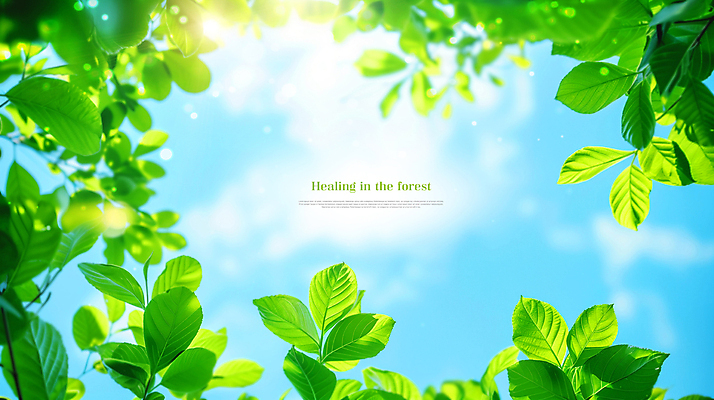 PSD 나무 구름 편집이미지 자연 하늘 나뭇잎 사람없음 초록색 햇빛 맑음 봄 힐링 카피스페이스 이미지편집 자연요소 식물 계절 컬러 잎 날씨 태양 공백 생태계 파일형식