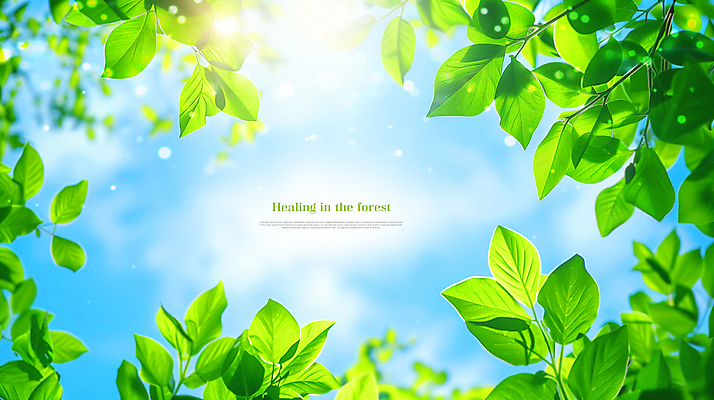 PSD 나무 구름 편집이미지 자연 하늘 나뭇잎 사람없음 초록색 햇빛 맑음 봄 힐링 카피스페이스 이미지편집 자연요소 식물 계절 컬러 잎 날씨 태양 공백 생태계 파일형식